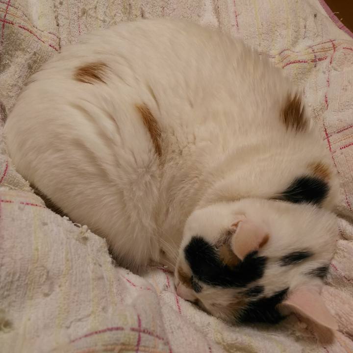 91ed5eaf e676 4f30 8af7 5934bb3781ff 1557238020395