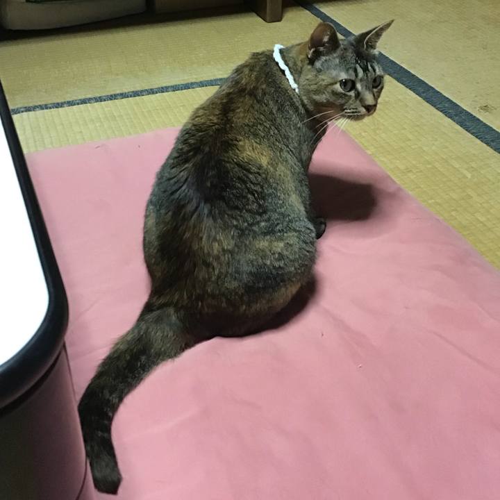 91ed79d2 5361 42d0 9381 84d0c11b3196 1687611662296