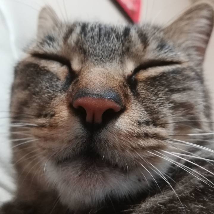 91eda4f9 ee23 42f7 8c03 fda26561e92a 1594814022414