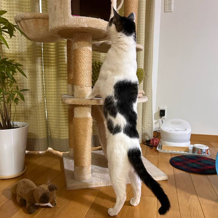 91edd264 5979 417d be33 3bb389ea802c 1718974060348