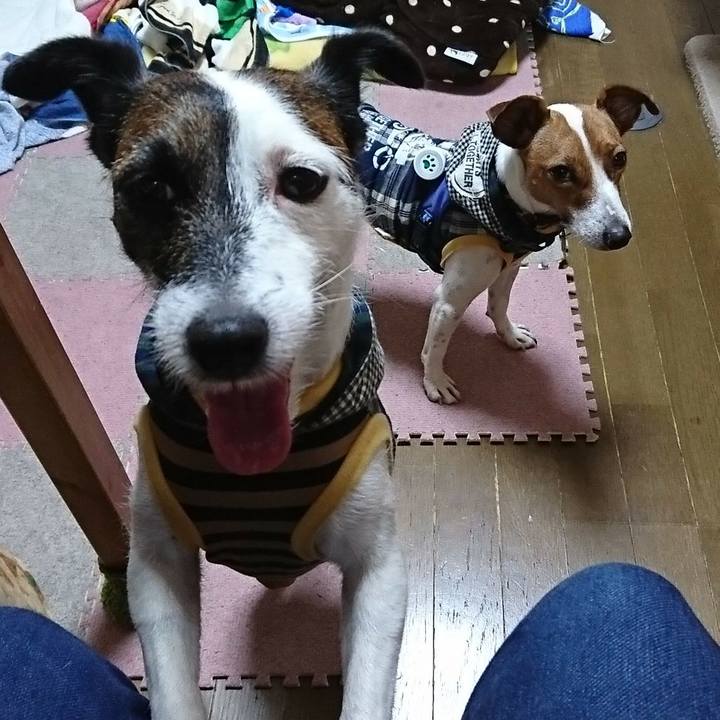 91edf12d 24e3 4d4e a8aa b0f1e42c3706 1538571234332