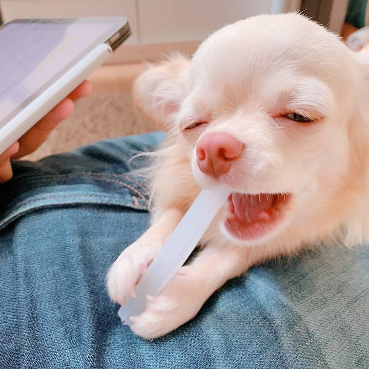 91edfe67 39ae 4eea b015 da3febb4f102 1628567904475