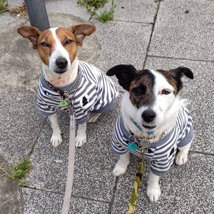 91ee017b b746 422a 9497 e91f59c39c61 1681253609172