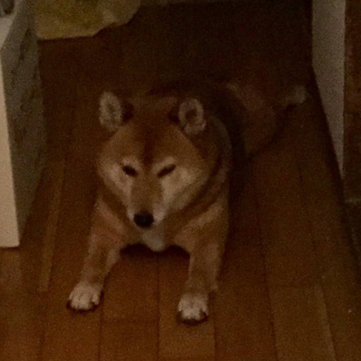 91ee5b8c 0d43 4ada 8436 5c346739895d 1548494392897