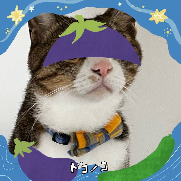 91ee6de2 2c05 4f19 a566 1f4d9cff1243 1755517930843