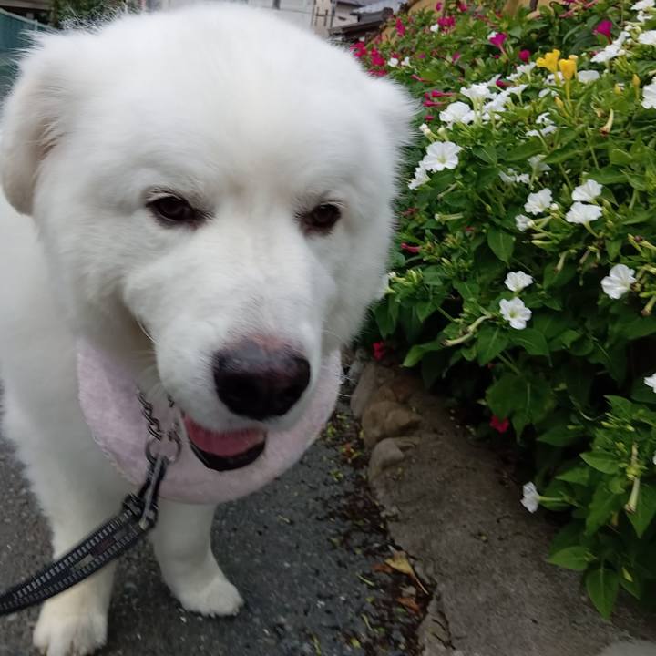 91eed9af 16f9 424f a021 16699e07f2d0 1721000061846