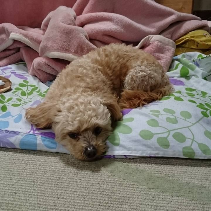 91eee7f8 bed5 4933 afb4 92e639ec8bbd 1523165852327