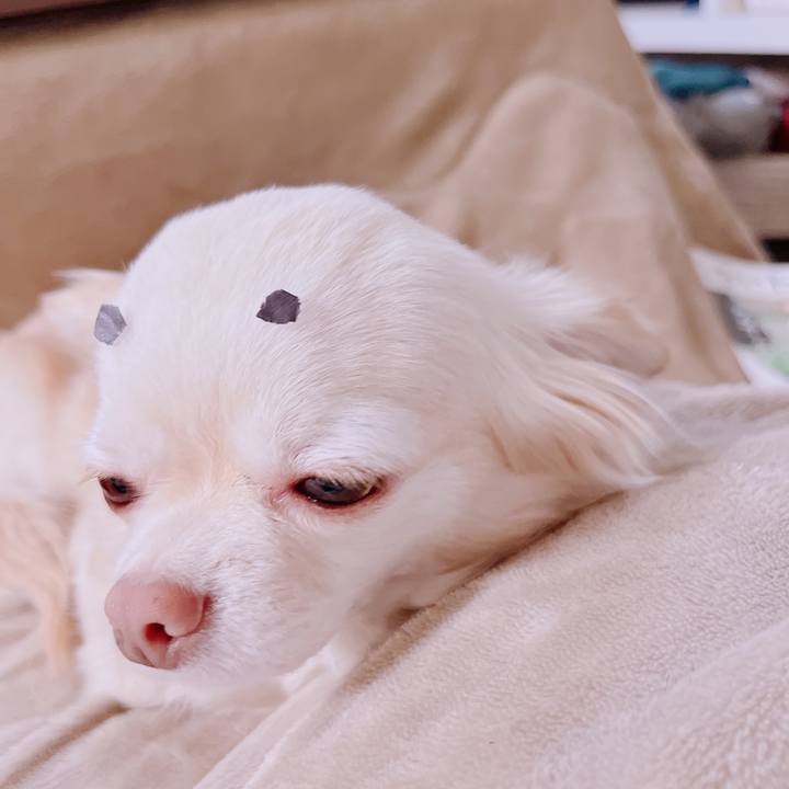 91eeed28 c693 4903 8e94 433a6de30f8f 1677622415209