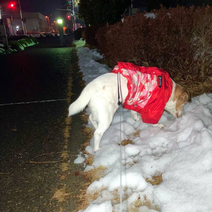 91ef4890 9d2f 4fdd 9243 004d491cdf9c 1707230062389