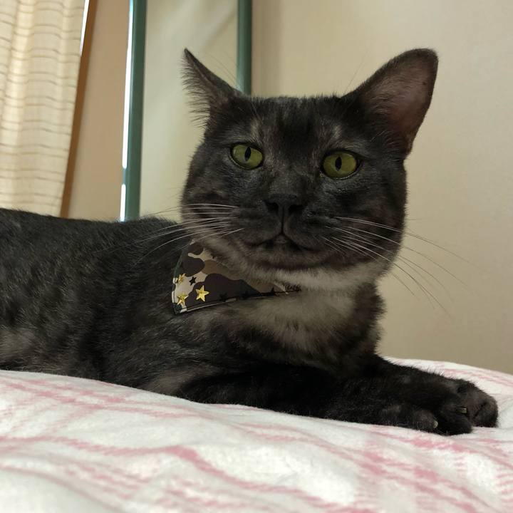 91efb245 0b91 44a4 a341 16d4a014de52 1598247349601