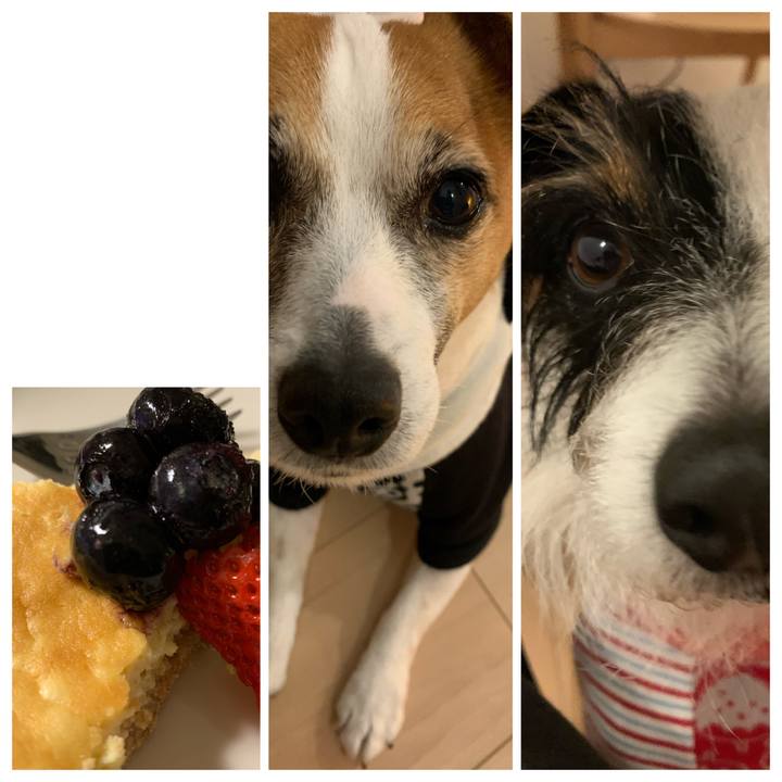 91efd1ec 53c8 42ab 8fca 29cd319ff7e3 1580127277927