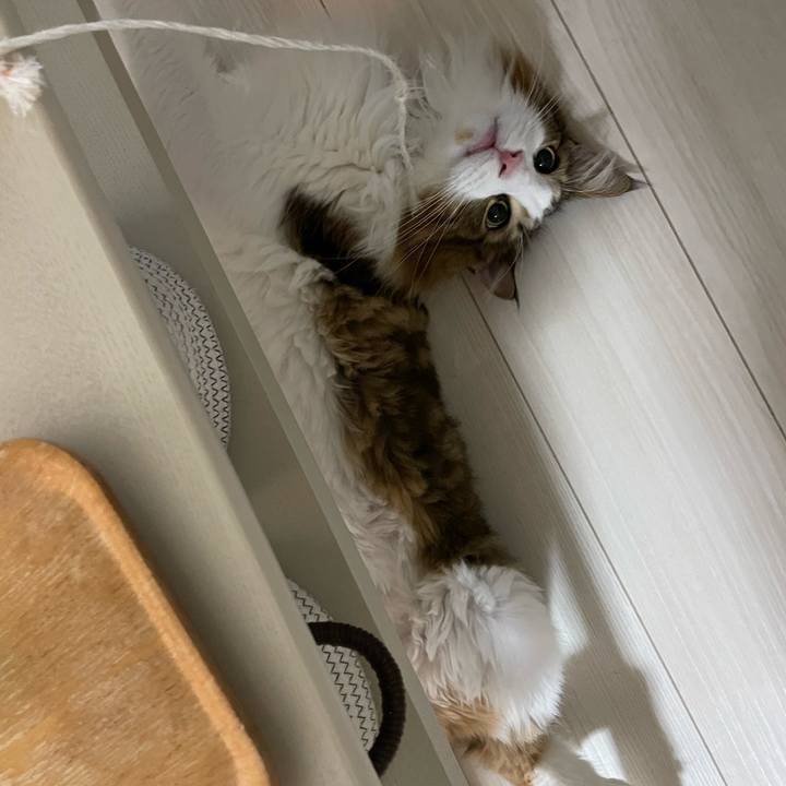 91efdd15 7eba 4c3e 90ce ad56187e76b2 1664831686504