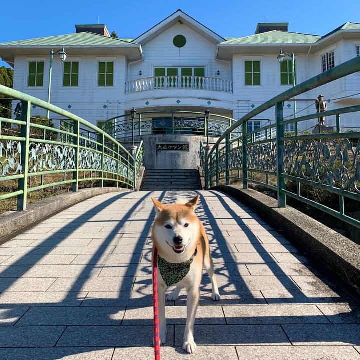 91efe497 8101 48bd 8ce6 9aec81a2cff9 1669373421971