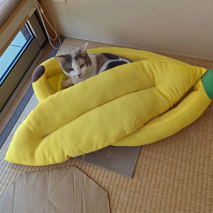 91f02bf0 c780 43a6 a104 adb60473bec0 1695699133279