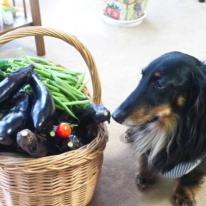 91f07c6d 15bd 4933 aae9 bf00af9cad19 1686977288887