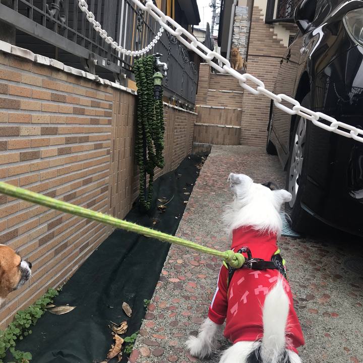 91f085a6 79fa 4150 81a0 da5b931b81f1 1541296752880