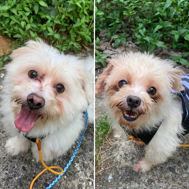 91f088cc 934c 478b b755 eae429422758 1685173809328