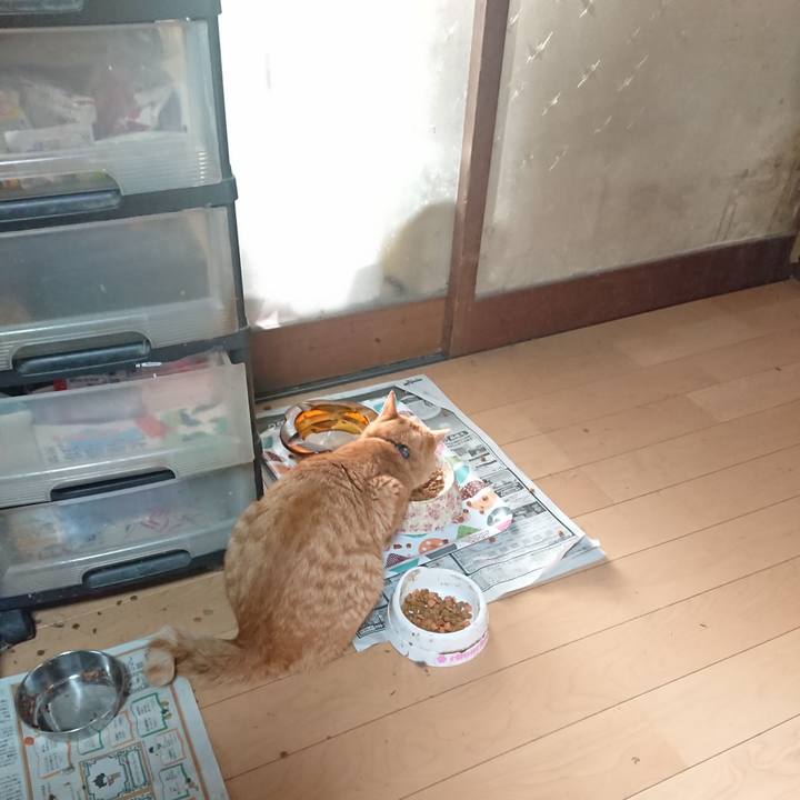 91f0ae8d 3754 4fb3 b3c3 6edb56188ab6 1652219666463