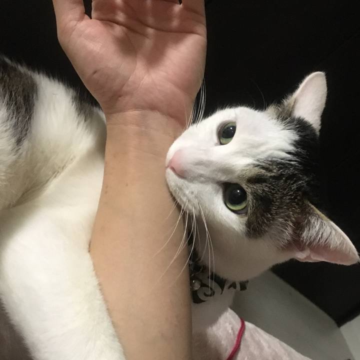 91f0ce66 386e 489a 91b0 debcccb80de6 1516629609702