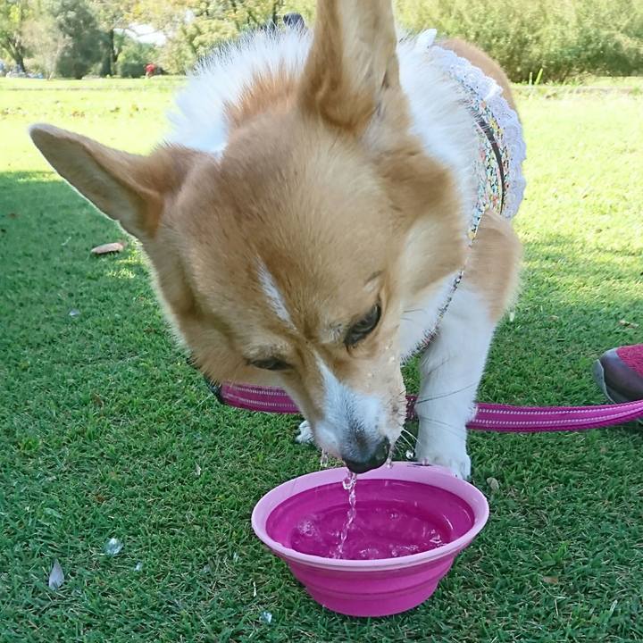 91f10349 cf98 4e84 b6d0 8ba0b3554fe4 1538876845613