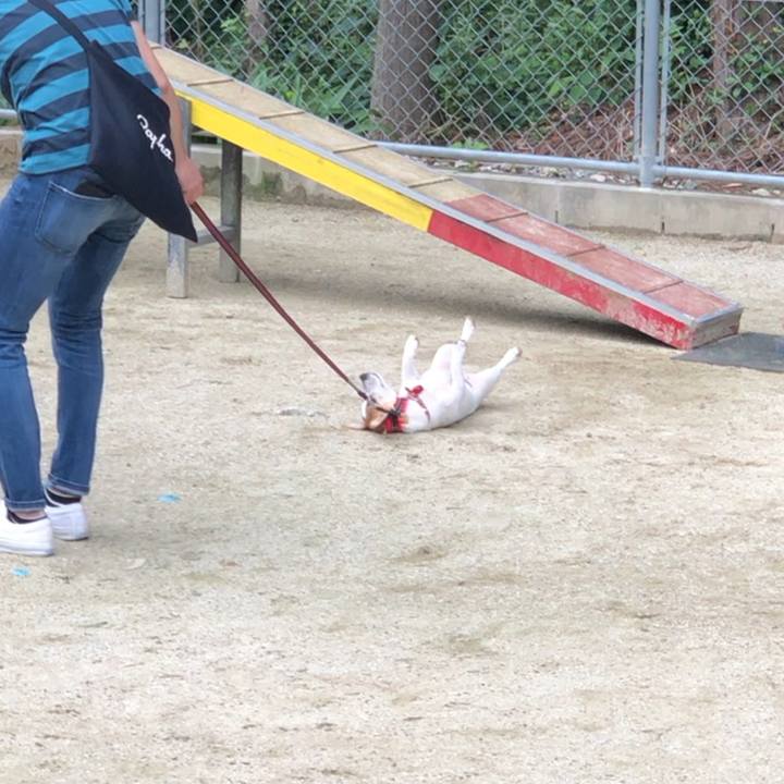 91f179f1 0a2a 43ba ad16 49a614171159 1560085481039