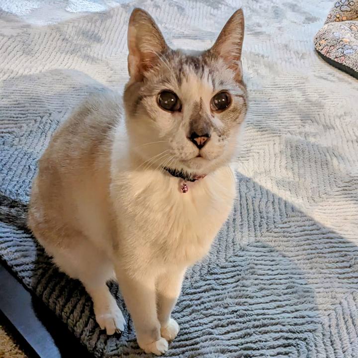 91f181bc 2068 45e3 a78a ffac240923b8 1705400666037