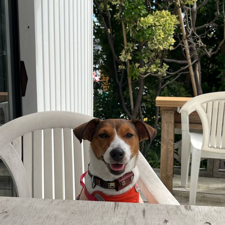 91f1b65d bae7 45a8 8a7c cd825e165db7 1760775036864