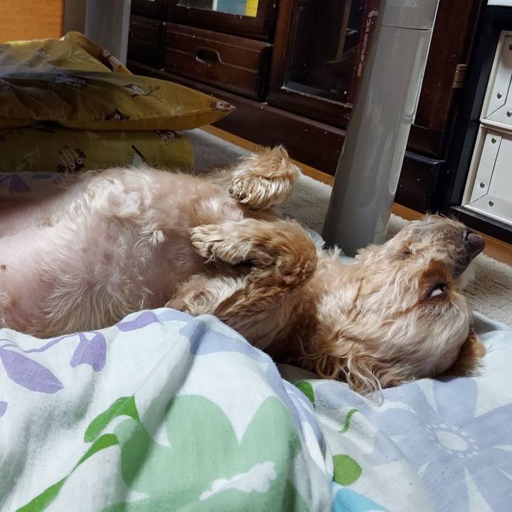 91f1c2c1 d231 459d a1b0 cc8d2bd87b5a 1681474854865