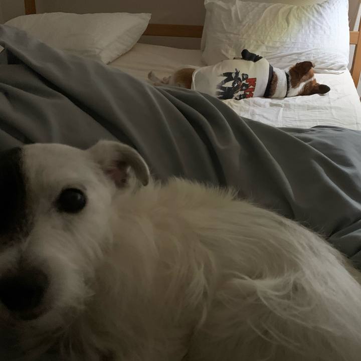 91f1c7df 918d 4abe ad72 53789a735db0 1596464782243