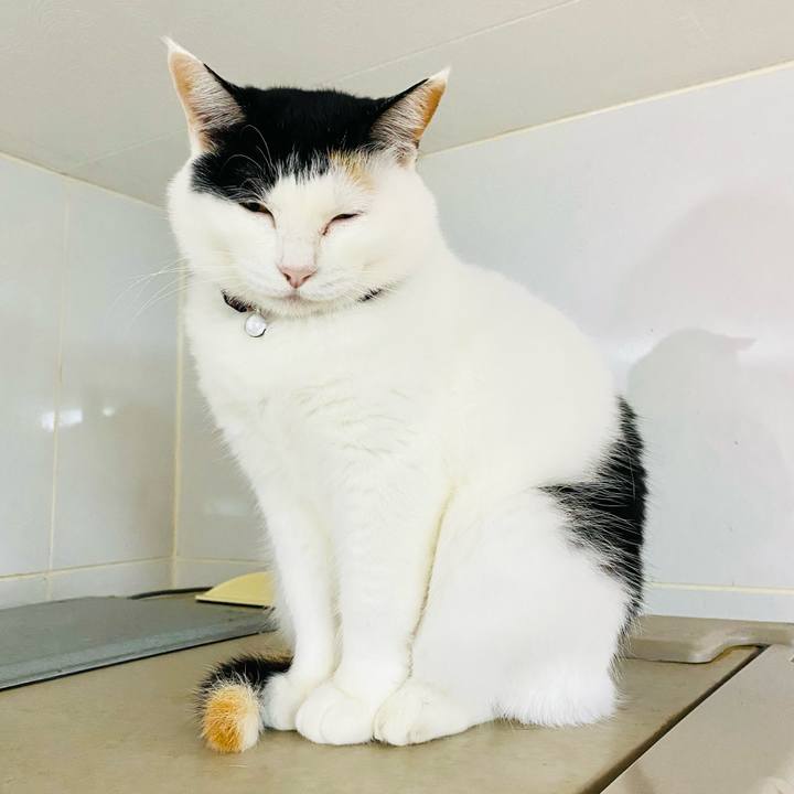 91f1d13c c72d 4a64 a686 945517bce4d1 1686439595913