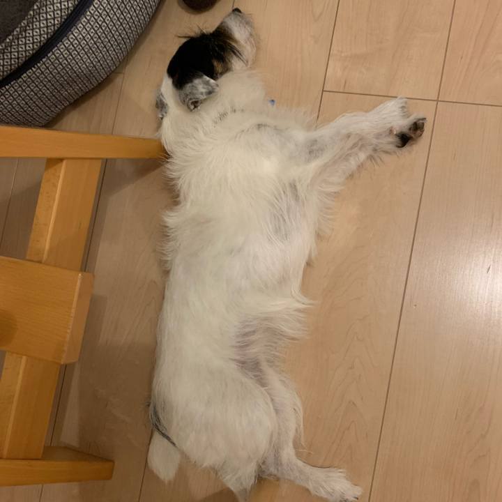 91f221a0 1eff 4772 99f3 1221e7d4069c 1726920402446