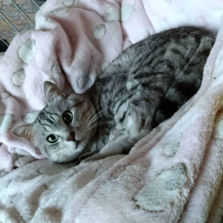 91f23d25 f8aa 414d 9ee4 275b7ea58e46 1657457979198