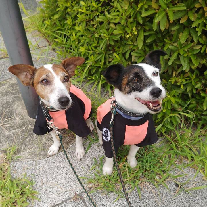 91f27d4b d4f1 4c48 8c34 33689cb5dd9f 1753999087713