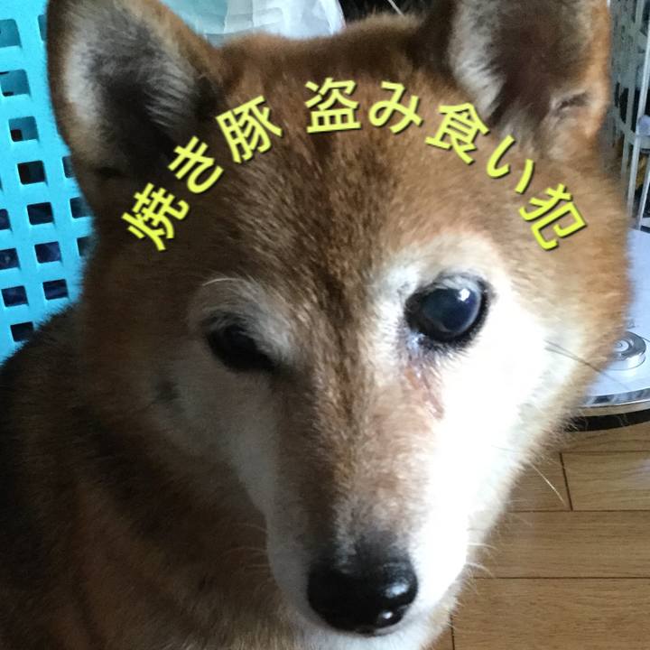 91f2b091 0359 44e0 bfd2 cbaf4d94e47d 1626495168295