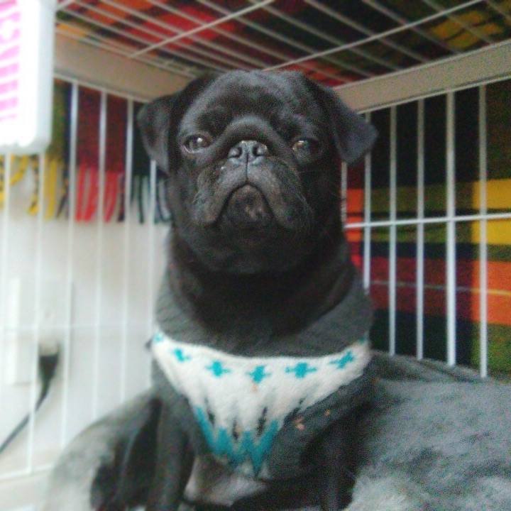 91f2edac 9766 40d2 9320 67795b7b8775 1608351706590