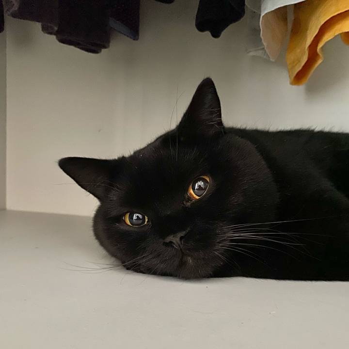 91f30f5a 965b 420c be25 b251022e2312 1631138712118