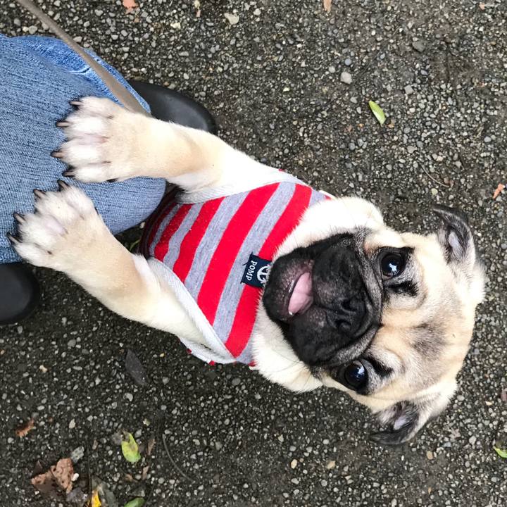 91f3475e 12de 4b13 a580 7b6523ad80e8 1537943455705