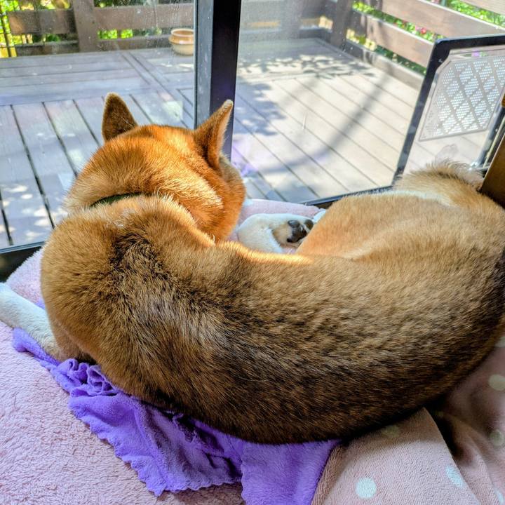 91f36952 a132 41a1 a4c7 71cc438b8a6e 1745715082109