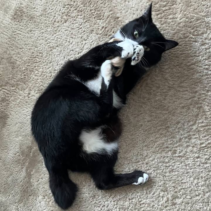 91f374e4 7ea9 4c63 ab59 9c91b2294707 1689824389096