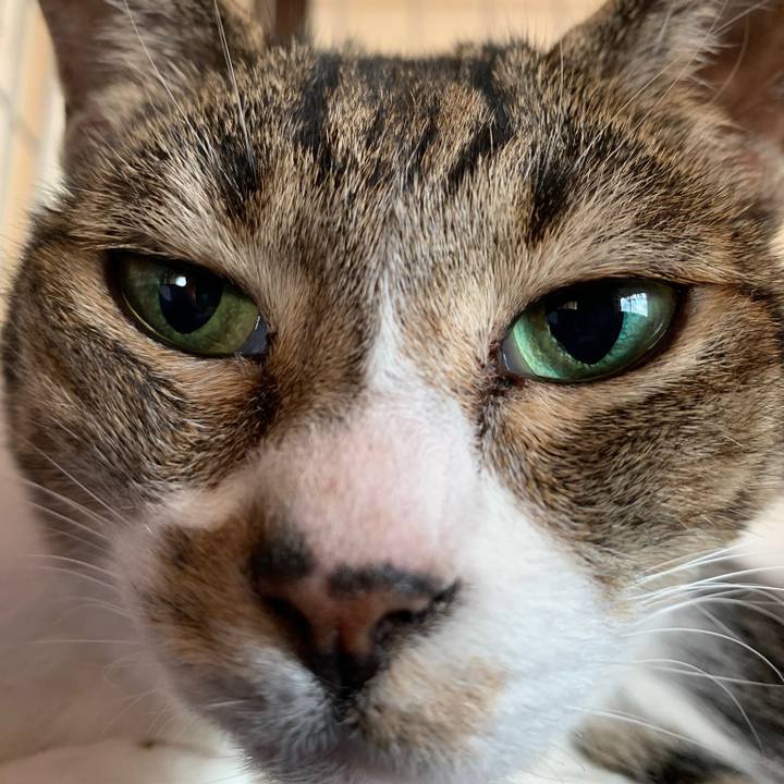 91f39cdc 4951 4b55 8203 6eb0166db3db 1567210881794