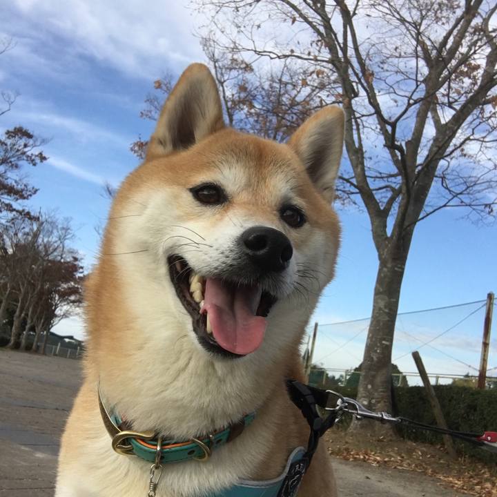 91f3c141 f5a9 4061 998b 467c233e790e 1573993789655