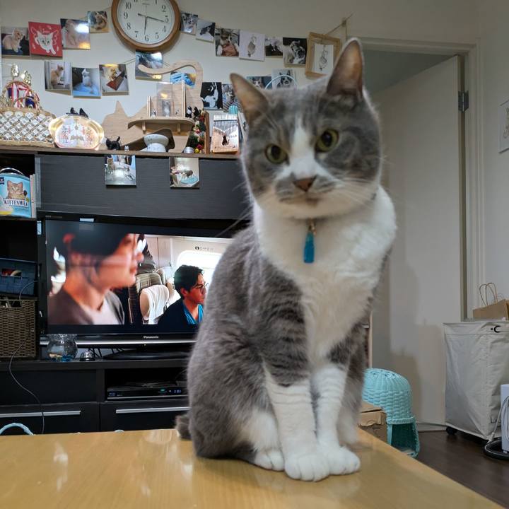 91f3ceba f091 4714 afdd 09f9d495096c 1746870548590