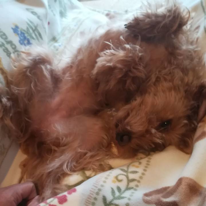 91f3ded4 b06e 488a 8b3b 8e95b36dcef4 1546225514890