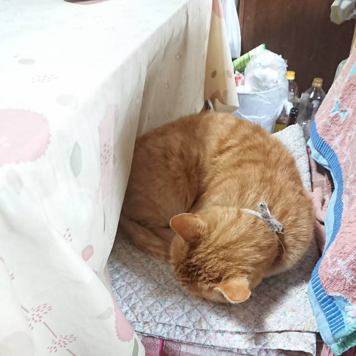 91f46384 bc21 45ef 86d5 1234104ea716 1587856574671