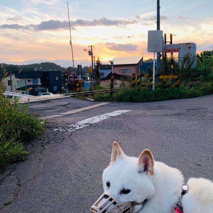 91f47a6e 5665 4b6d b529 5c14eb91fb87 1600290617993