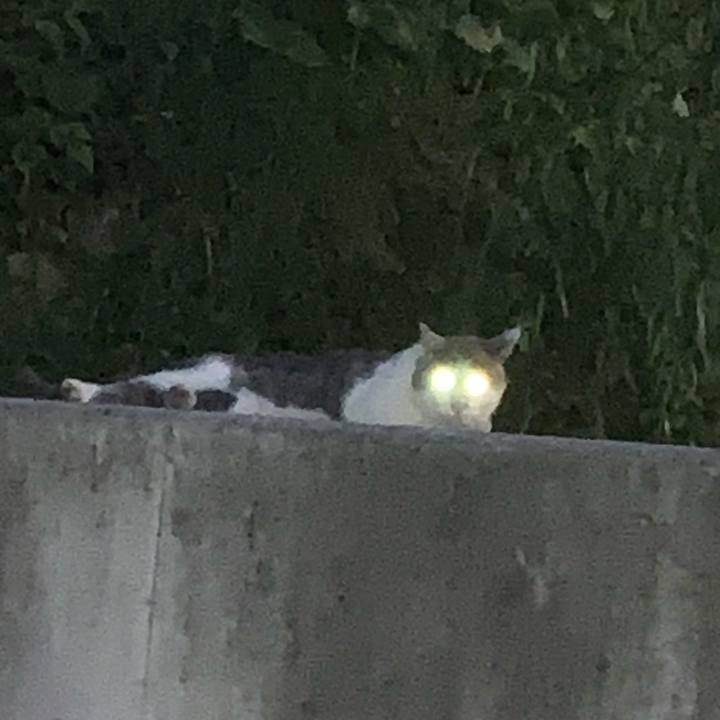 91f4bdc5 076e 4380 b491 131c9a2aaa10 1564486945818