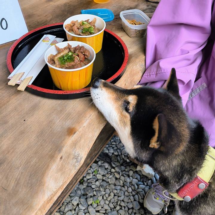 91f550a0 95d4 41dc 8d11 621ae1e0ff55 1762105184200