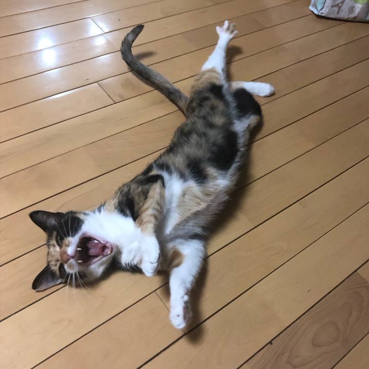 91f55889 4203 4618 9016 d5dbc0c1a211 1558354800175