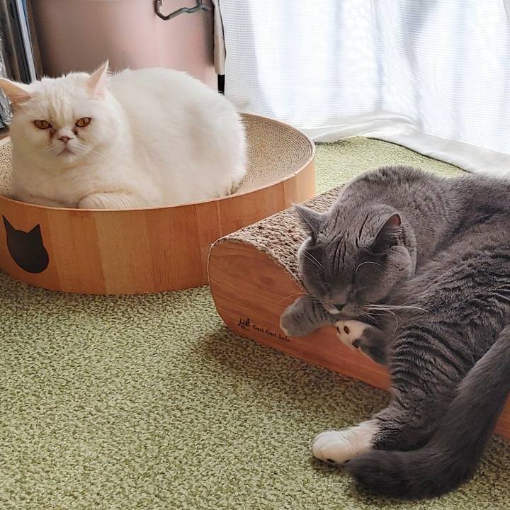 91f569ad 2f21 412e a1c4 e516c1d12e6d 1700264204591