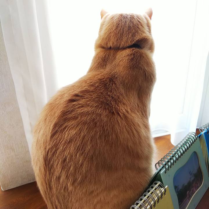 91f5b0d7 25b4 45a7 87d5 cadd26869dbe 1618886518106